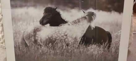 Photo of free IKEA print (Teddington TW11 0BX) #2