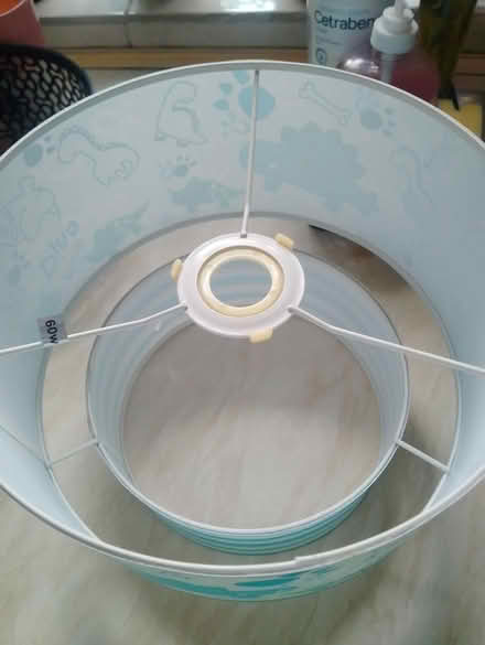 Photo of free Dinosaur light shade (Yorkshire) #2