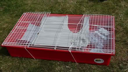 Photo of free Pet cage complete 37" x 23" (Gunton NR32) #2