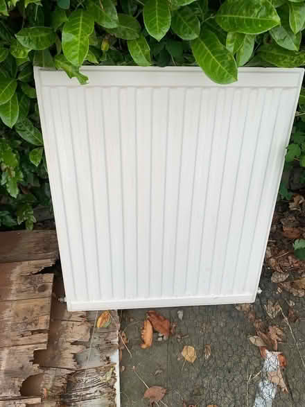 Photo of free Traditional radiation (Colinton EH13) #3