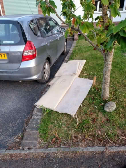 Photo of free Carpet (Steyning BN44) #1