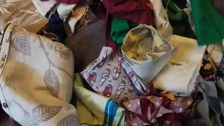 Photo of free Big pile of fabric (Freehold LA1) #2