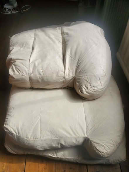 Photo of free Cushions (Malvern Wells WR14) #1