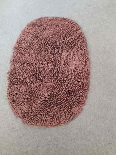 Photo of free Bathroom floor rug (Fords Farm RG31) #1