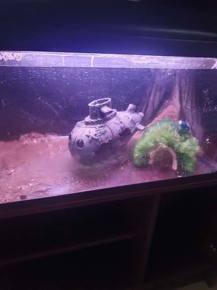Photo of free Aquarium with cupboard (Ellesmere Port, CH65) #2