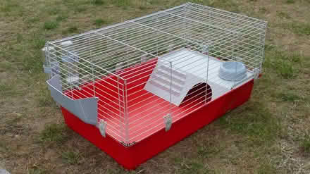 Photo of free Pet cage complete 37" x 23" (Gunton NR32) #3