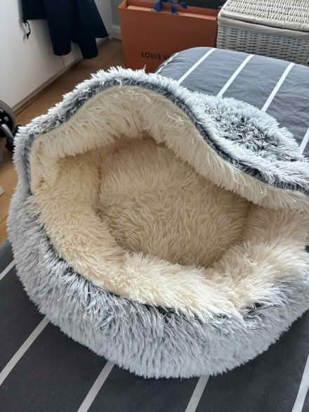 Photo of free Unused cat bed (Wallington SM6) #1