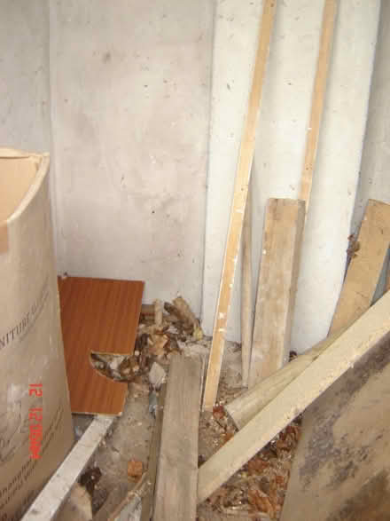 Photo of free Useful wood (Tunley BA2) #2