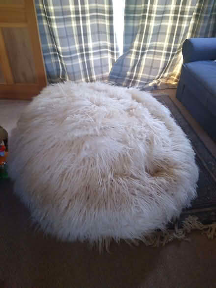 Photo of free Large bean bag (Halesworth IP19) #1