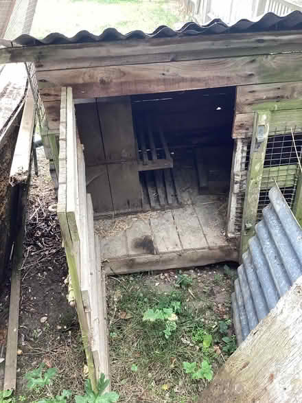 Photo of free Chicken pens or log sheds (Stoke Row RG9) #3
