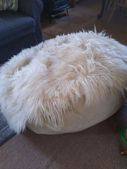 Photo of free Large bean bag (Halesworth IP19) #2