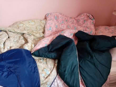 Photo of free 2 single lt. wt. sleeping bags (Emsworth PO10) #4