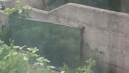 Photo of free Double glazing window panes (Okus SN1) #1