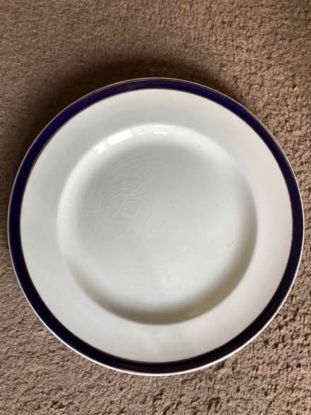 Photo of free 5 x Vintage 'Swinnertons' 9" Dinner Plates (St James, South Elmham IP19) #1