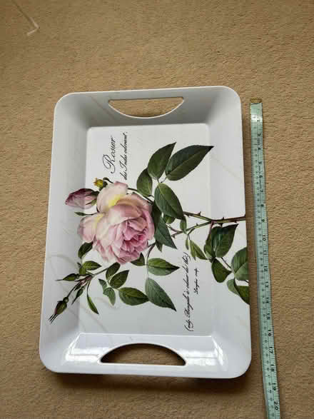 Photo of free Tray (Withdean BN1) #1