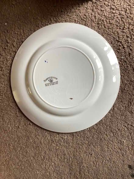 Photo of free 5 x Vintage 'Swinnertons' 9" Dinner Plates (St James, South Elmham IP19) #2