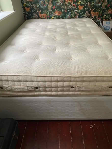 Photo of free Soft double mattress and divan base if (Lower Walkley S6) #2