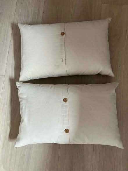 Photo of free Pair of cushions / pillows (North Abingdon OX14) #2