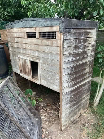 Photo of free Chicken sheds and pens or small log shed (Stoke Row RG9) #4