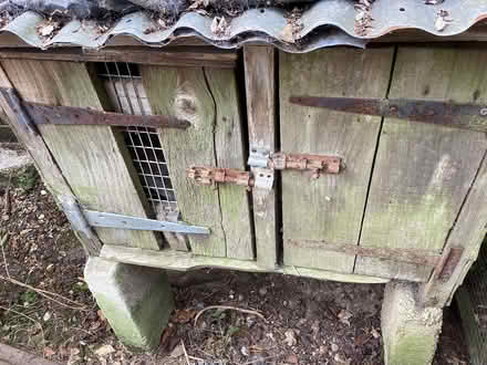 Photo of free Chicken sheds and pens or small log shed (Stoke Row RG9) #3