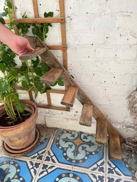 Photo of free Cat stairs (E2) #3