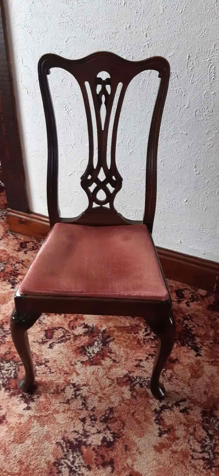 Photo of free Four dining chairs (Bramhall SK7) #1