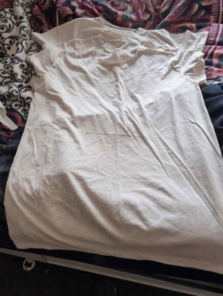 Photo of free T shirt (Bankfoot BD5) #2