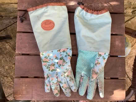 Photo of free Gardening Gloves (Thorney Leys OX28) #1