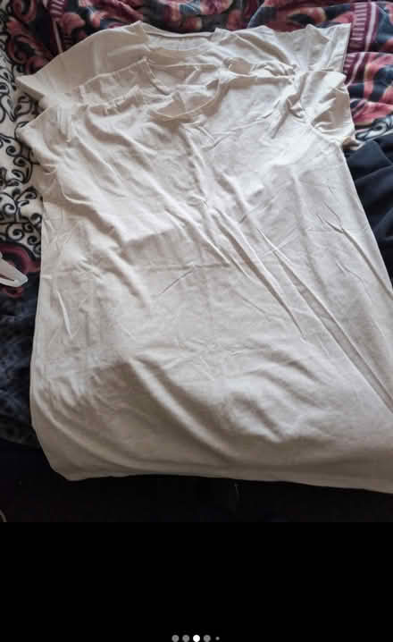 Photo of free T shirt (Bankfoot BD5) #1