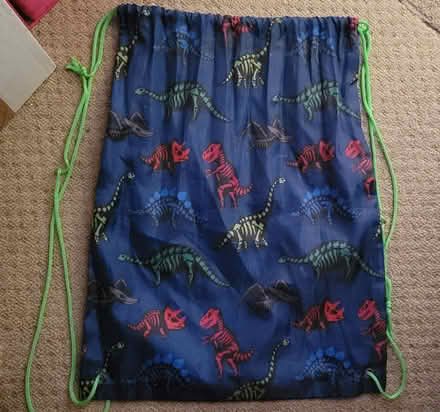 Photo of free Dinosaur bag (Hampden Park) #1