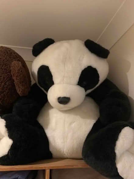 Photo of free Big Panda Bear (CT9) #1