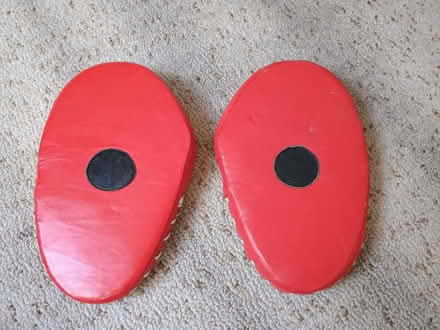 Photo of free Kids boxing punching mitts (Nether Edge, S7) #2