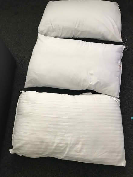 Photo of free 3 pillows (Dunstable) #3