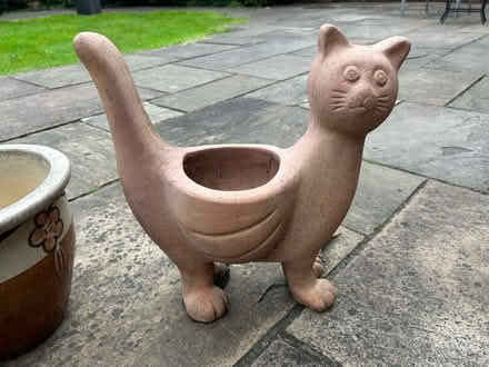 Photo of free Garden pots (darwen BB3) #4