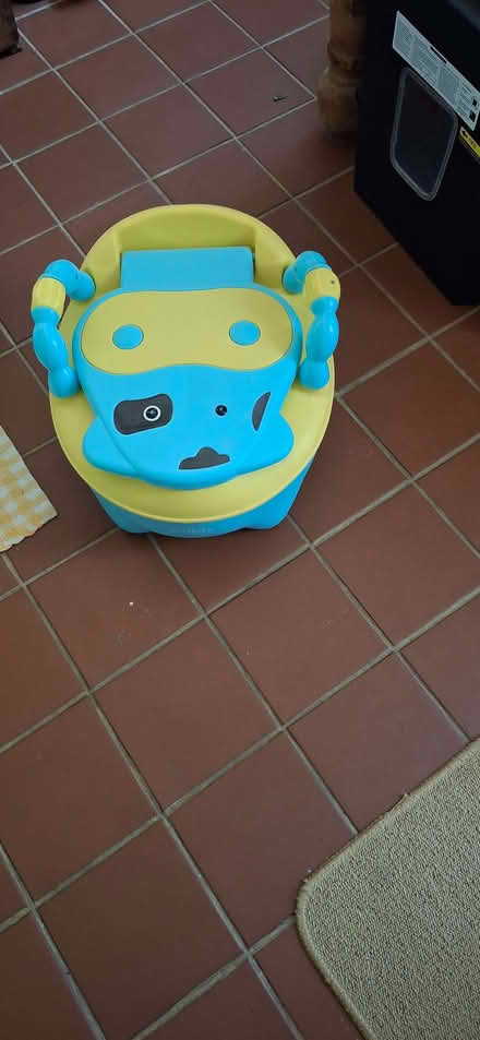 Photo of free Children's Potty (West Malvern CP WR14) #2