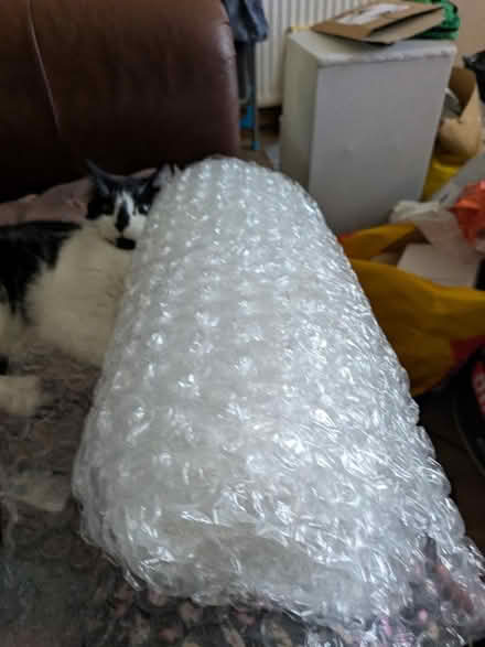Photo of free Bubble wrap (Freehold LA1) #1