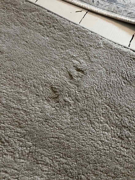Photo of free IKEA rug (Queens Park) #2