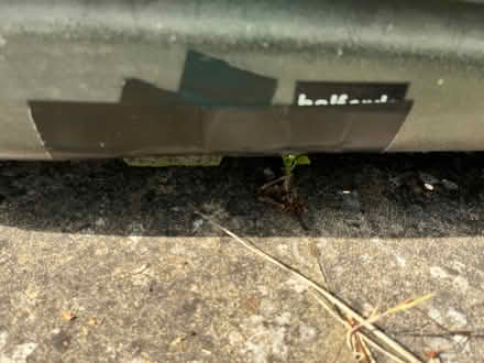 Photo of free Roof box (UB6 North Greenford) #4