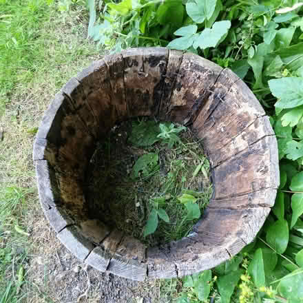 Photo of free Rotten plant holder barrel (Chesham HP5) #2