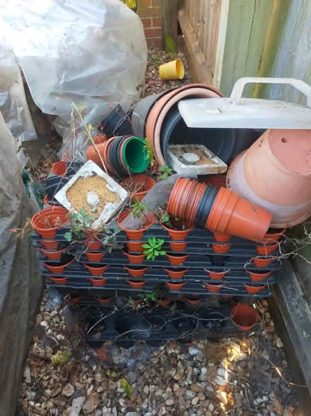 Photo of free Pots (Ryde PO33) #2