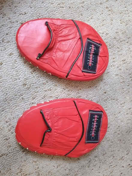Photo of free Kids boxing punching mitts (Nether Edge, S7) #1