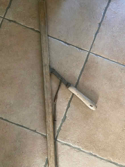 Photo of free Fruit picking tool (Bussage GL6) #2