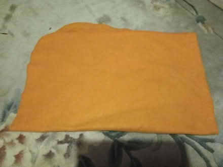 Photo of free Picnic Blanket (Guildford GU1) #1