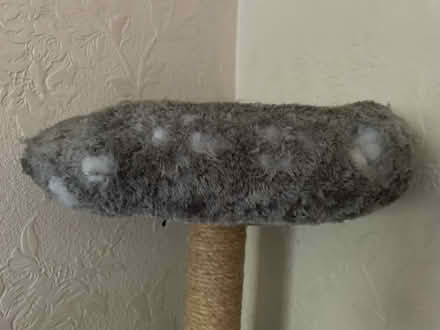 Photo of free Cat tower (Stourport DY13) #4