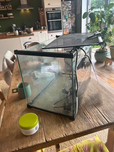 Photo of free Pet tank with two heat mats (Steyning BN44) #3