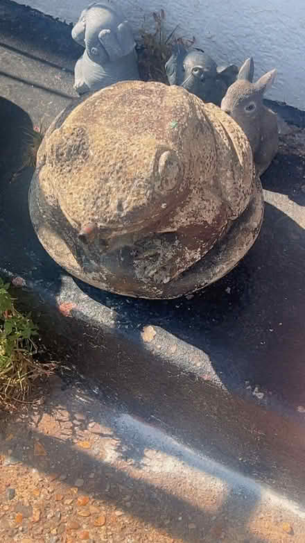 Photo of free Frog ordament (Croydon) #2