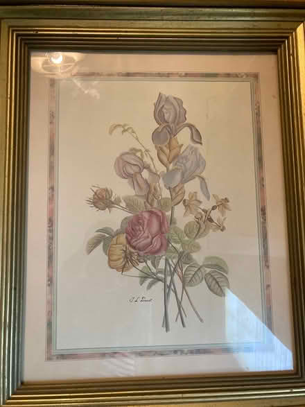 Photo of free Botanical print “20x24”inches (Scaggsville) #1