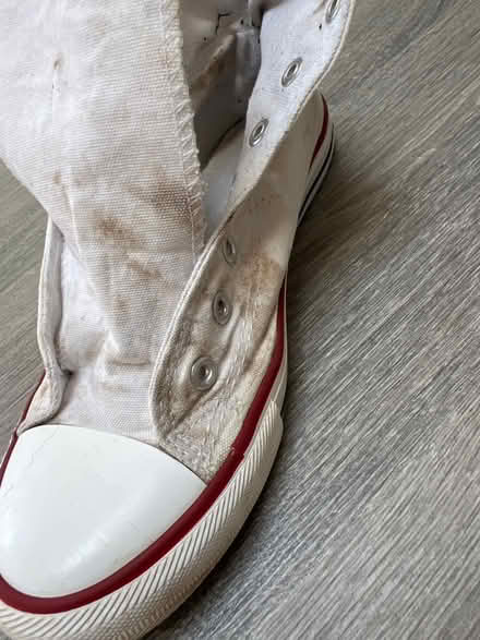 Photo of free Canvas High Top Trainers. Size 6. Some stains. (Southsea PO4) #4