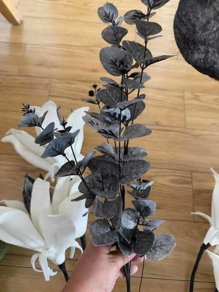 Photo of free Flowers - all to go together (SG18) #3