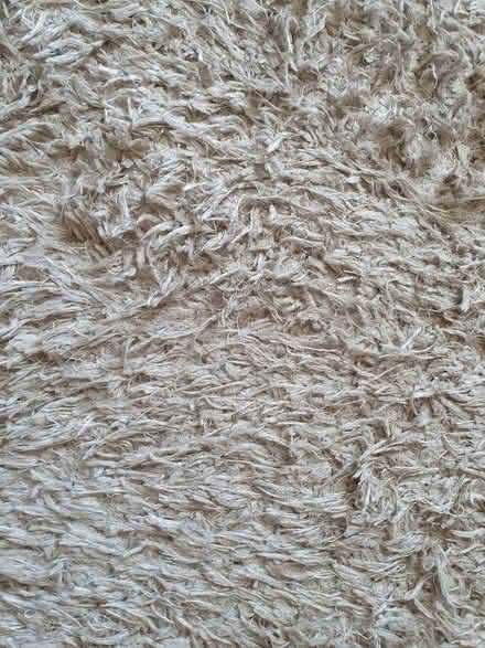 Photo of free Cream/white john lewis rug (Central park, East Ham E6) #2